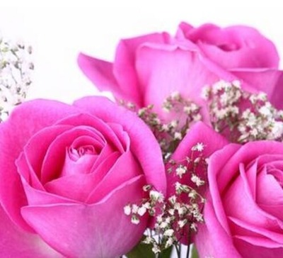 给女朋友送花的5个理由，如何用鲜花打动女孩？
