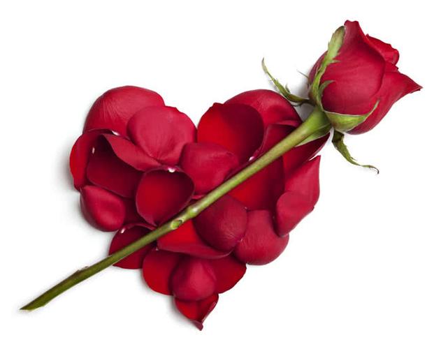 不同花色、不同数量的玫瑰花花语竟有这么大的区别，你真的了解吗