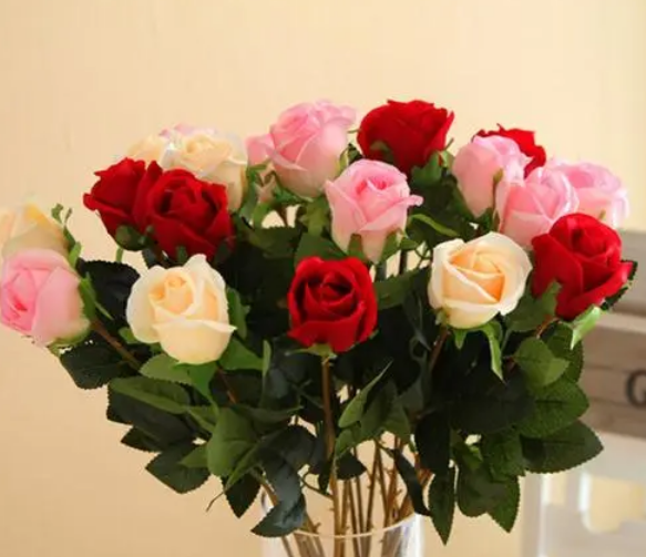 情人节大家都送红玫瑰，玫瑰的花语了解一下