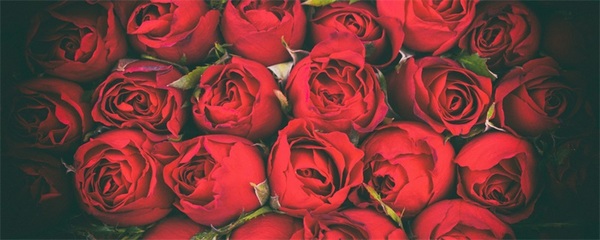 情人节送什么颜色的玫瑰花最好呢？